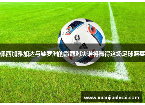 佩西加雅加达与婆罗洲的激烈对决谁将赢得这场足球盛宴