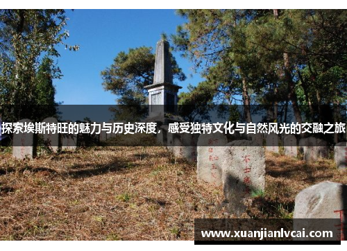 探索埃斯特旺的魅力与历史深度，感受独特文化与自然风光的交融之旅